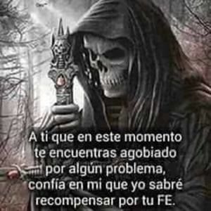 Meet your Posher, Bulfrano